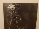 Darkthrone - Under A Funeral Moon (Original Release from 1993 - No RE )