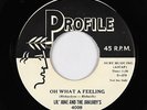 Doo-Wop 45 - Lil' June & the January's - Oh What A Feeling - Profile - mp3