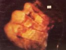 Throbbing Gristle Rafters LP 1982 Italian Records pressing