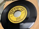 ELVIS PRESLEY Mystery Train-I Forgot To Remember SUN 223 Remake W/Rare Misprint