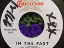 WE THE PEOPLE-In The Past/St. John's Shop. Garage/Psych M- Promo on Challenge. 