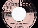 Blastin' TX R&B Rockabilly AL DOWNING w/THE POE KATS Down on the Farm 45 HEAR