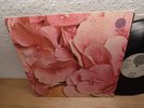 STILL LIFE same Vertigo Swirl prog original 1971 LP MINT-