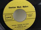 Killer Psych The GRAINS OF SAND - PASSING THROUGH THE NIGHT Garage 45 60's FUZZ