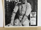 Tales From The Crypt by The Mummies (Vinyl, 1994, Not On Label)