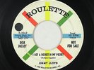 Rockabilly 45 - Jimmy Lloyd - I Got A Rocket In My Pocket - Roulette - mp3