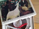 Beach Boys – Pet Sounds (Original UK Pressing, Mono)  T2458  1966   Vinyl LP