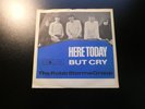 THE ROBB STORME GROUP - Here Today / But cry -Mod Garage Beat 7