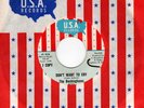 FUZZ GARAGE 45 - Pre-Fame BUCKINGHAMS - DON'T WANT TO CRY + USA Sleeve - HEAR