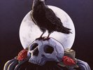 Jedi Mind Tricks FUNERAL & THE RAVEN (UK IMPORT) VINYL LP NEW