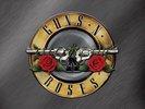 Greatest Hits (2LP Vinyl) By Guns N' Roses $50.28