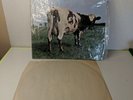 Atom Heart Mother Pink Floyd Harvest Rec Skao 382  1 Rec Gatefold 1975