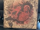 Ceschi Pat The Bunny LP Limited Edition