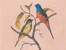 MONSTERS, THE BIRDS EAT MARTIANS (UK IMPORT) VINYL LP NEW
