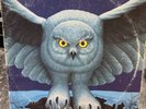 Rush   Fly By Night   Mercury SRM-1-1023   Very Good Ultrasonic Cleaned
