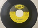 The Madisons 1964 DOOWOP 45 The Wind And The Rain / Can You Imagine It LAWN HEAR