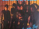 The Ramones Animal Boy Australia pressing 12'' vinyl Lp MINT 1986 rare punk rock