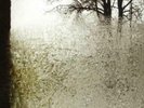 Bon Iver ‎– For Emma, Forever Ago - Vinyl LP New Sealed