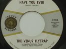Psych Bay Area THE VENUS FLYTRAP Have You Ever / The Note JAGUAR 45 HEAR