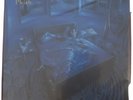 Phish Rift 2LP Vinyl Record Blue Marble #231 David Welker Print Album Magnaball
