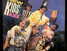 New Kids on the Block Self Titled 1986 Debut PROMO LP Vinyl NICE
