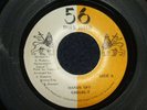 CASUAL-T  -  HANDS OFF  (REGGAE)  45