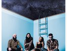 The Skints Swimming Lessons (Vinyl) 12