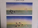 Australian Crawl Phalanx Australia pressing 12'' vinyl Lp 1983 rare OZ rock