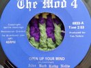 The Mod 4 Open Up Your Mind. Garage Fuzz Girl Group from Iowa. VG+ both sides. 