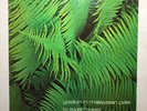 Edgar Froese – Ypsilon In Malaysian Pale NEAR MINT Vinyl LP 1975  Brain 1074