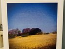 Sun Kil Moon - Benji 2014 Clear Vinyl Gatefold 2x LP Caldo Verde Wax = NM