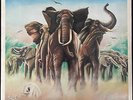 Elvis Costello and the Attractions - Armed Forces - Used Vinyl LP and 7