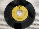 Sunshine Earth Band I’ll Be There Tuesday Afternoon 45 RPM Vinyl Record #3070