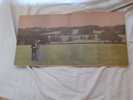 Shirley Collins And The Albion Band NO ROSES 1972 UK LP Peg Label NEAR MINT
