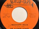 FLOWER POWER Mississippi Delta NEW ORLEANS GARAGE PSYCH 45 *hear*