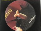 NIRVANA IN BLOOM VINYL 12” PICTURE DISC GEFFEN UK 1992 EXC PRO CLEANED