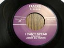 JIMMY BO HORNE - I CAN'T SPEAK / I CAN'T SPEAK  - EXCELLENT
