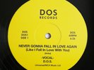 Diplomats Of Soul - Never Gonna Fall In Love 12