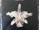 Kings of Leon Vinyl Albums ORIGINAL 1ST EDITION 10