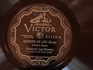 Victor 21126 Dixieland Jug Blowers GARDEN OF JOY 78rpm 1927 EE+ great