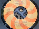 EVER-GREEN BLUES Three's A Crowd GARAGE 45 RARE MERCURY STOCK Feelin' Your HEAR