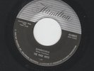 POPCORN SURF EXOTICA INSTROS- PAGE BOYS - BARRICUDA /.PETER GUNN - HEAR-HAMILTON