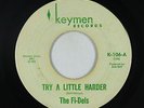 Northern Soul 45 - Fi-dels - Try A Little Harder - Keymen - mp3