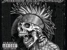 Suicidal Tendencies Still Cyco Punk After All These Years (Vinyl) 12
