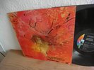 DOLDINGERS MOTHERHOOD 1970 MINT- KRAUTROCK MONSTER (Udo Lindenberg)