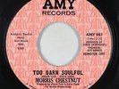Northern Soul 45 - Morris Chestnut - Too Darn Soulful - Amy - mp3
