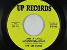 Northern/Sweet Soul 45 - Del-Cords - Just A Little Misunderstanding - Up NM mp3