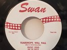 Dickey Doo and the Don'ts TEARDROPS WILL FALL (R&R 45) #4025 PLAYS VG++ NO NOISE