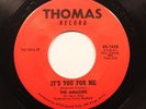 Hear  Northern Soul 45 The Amazers - It's You For Me / Without A Warning - VG++