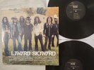 Lynyrd Skynyrd -Icon (Hits) NM/NM 2020 Southern Rock Root Beer Brown Vinyl Shrin